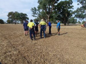 Wheat stubble, 2 passes