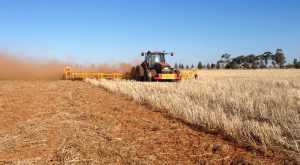 Demolishing a 20 bag oat stubble