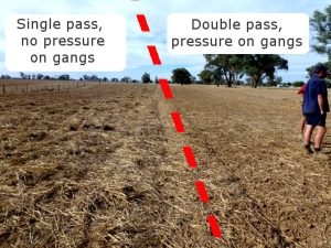 Create two different results in the same paddock